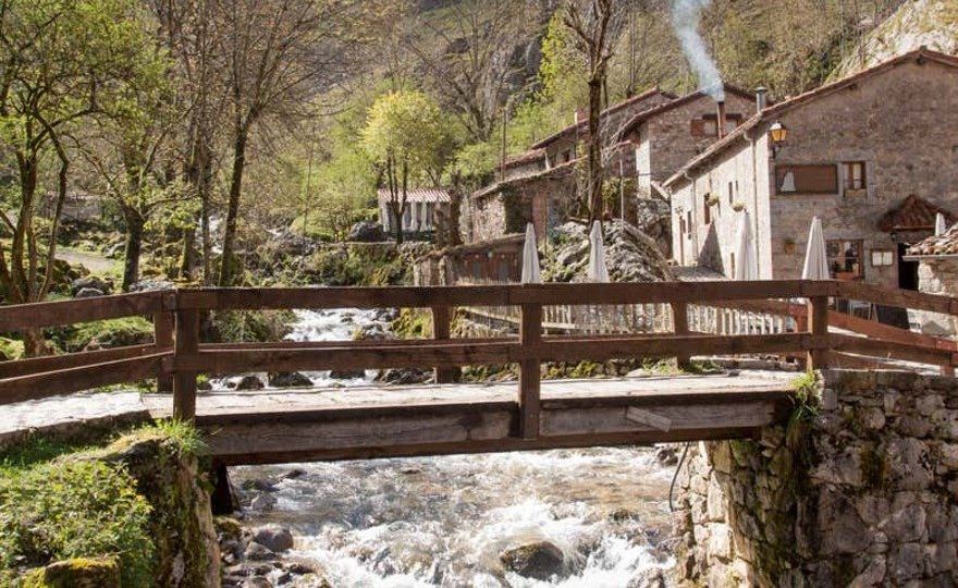 Excursión a los Picos de Europa + Cueva del Queso de Cabrales con degustación