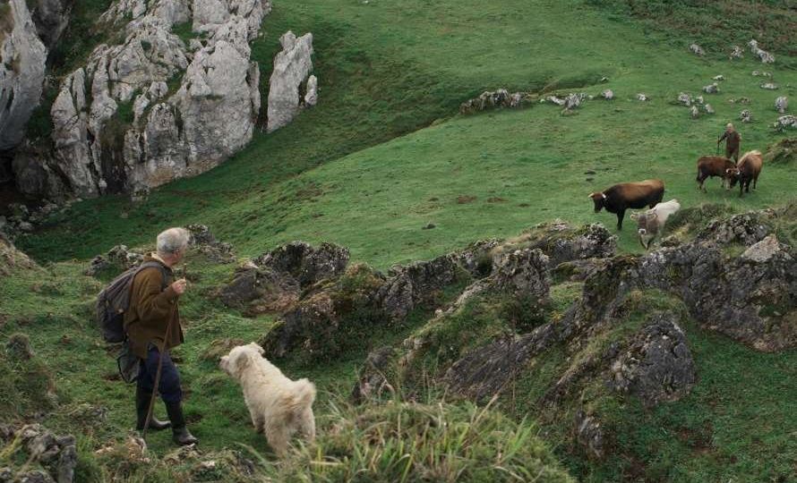 Documental «Los últimos pastores»
