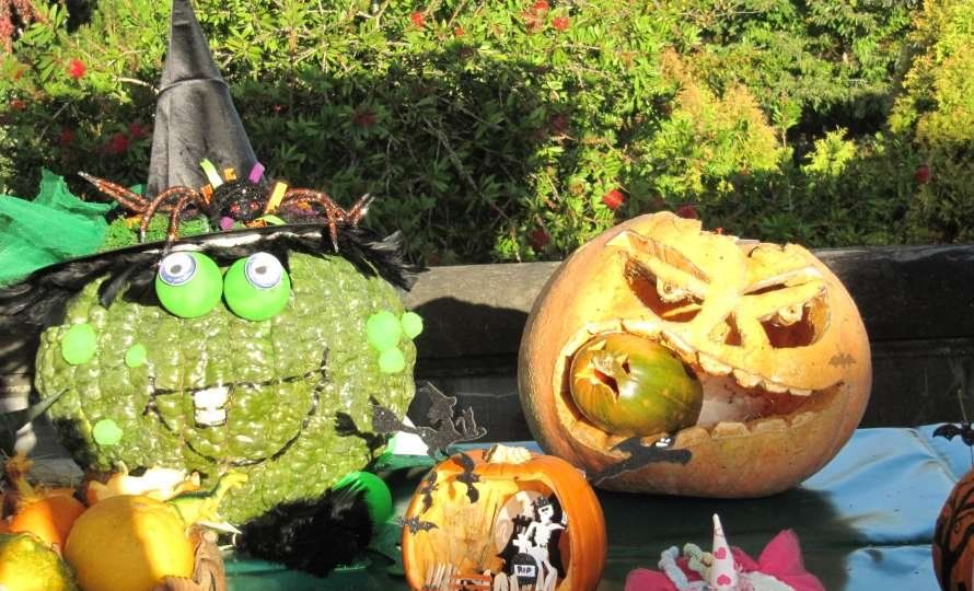 IX Concurso de calabazas decoradas