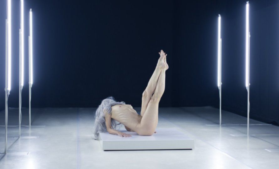 La Taimada. "Opus"