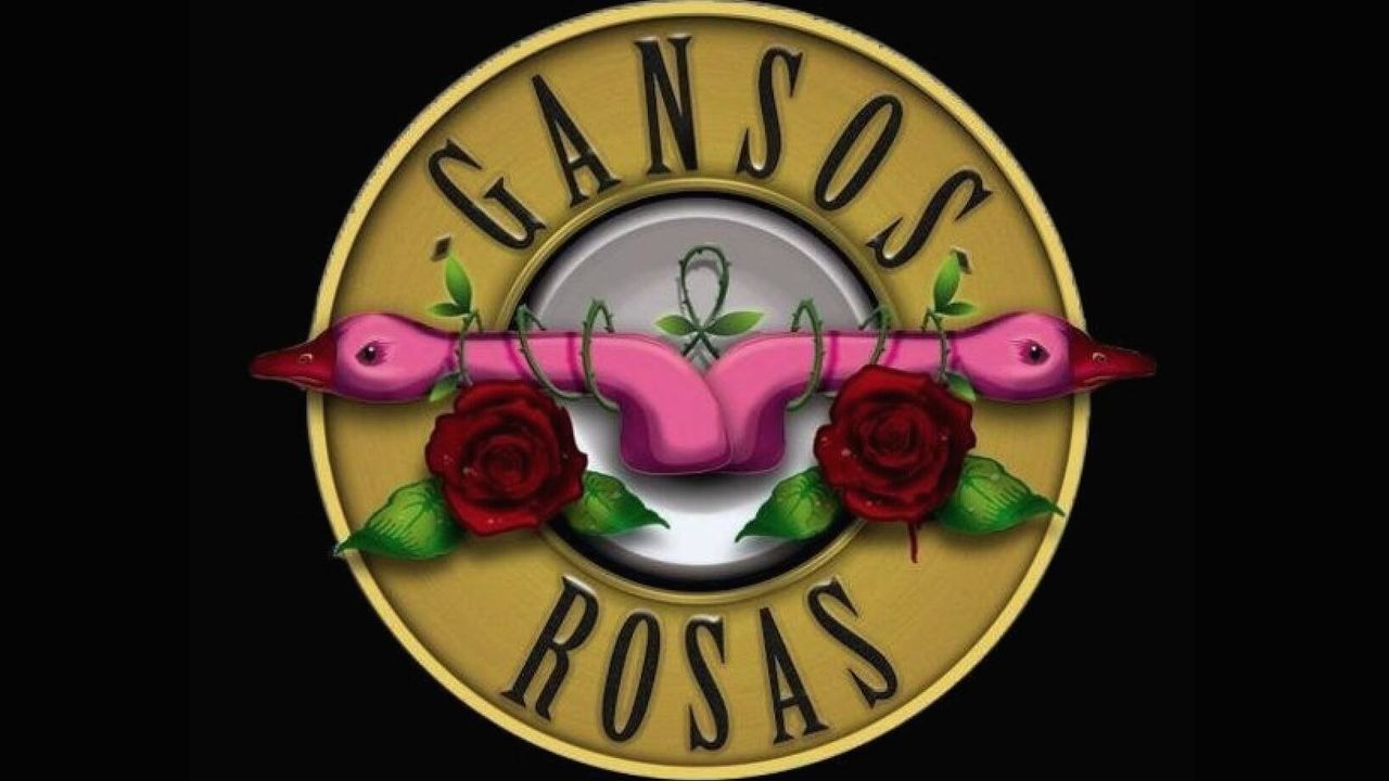 Gansos Rosas En Gijón