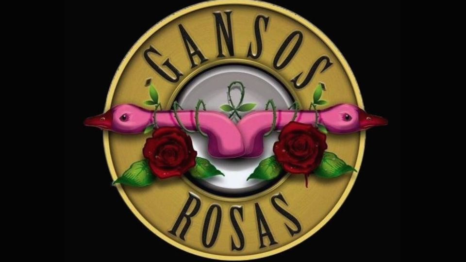 Gansos Rosas En Gijón