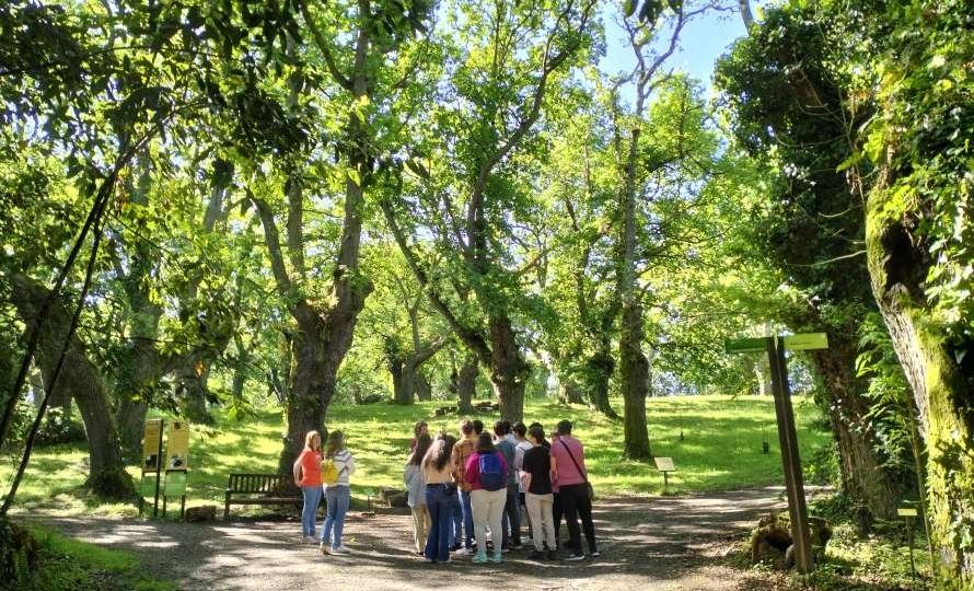 Días del Profesorado en el Botánico: Educar entre hojas