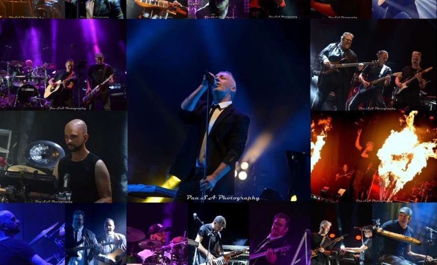 Grupo Assia