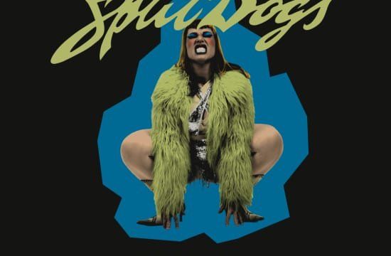 Split Dogs