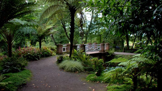 Samaín en el Botánico 2026: calabazas, talleres y noche de disfraces en Gijón