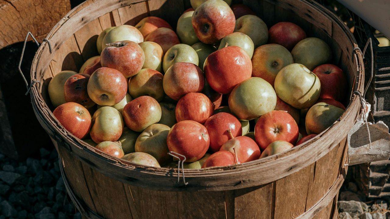 El Mercadín de la Sidra y la Manzana vuelve a Gijón con sabor a fiesta