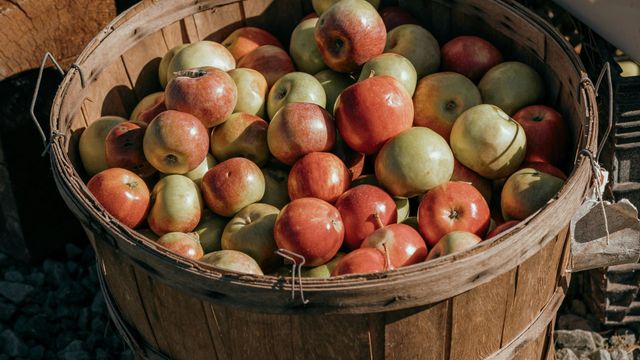 El Mercadín de la Sidra y la Manzana vuelve a Gijón con sabor a fiesta