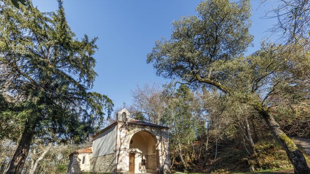 Día Europeo del Camino en Grandas de Salime y Llanes: 35 actividades para abrir el otoño jacobeo en Asturias