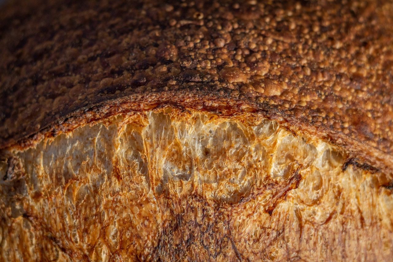 Pan de masa madre. Foto: <a href="https://unsplash.com/@commonboxturtle?utm_source=Hoy%20Apps&utm_medium=referral" target="_blank" rel="noopener">Conor Brown</a> (<a href="https://unsplash.com/photos/brown-and-black-concrete-surface-WBYksGoFPb8?utm_source=Hoy%20Apps&utm_medium=referral" target="_blank" rel="noopener">Unsplash</a>)